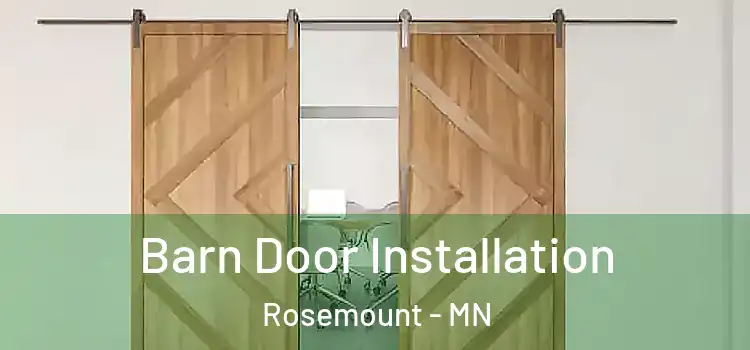  Barn Door Installation Rosemount - MN