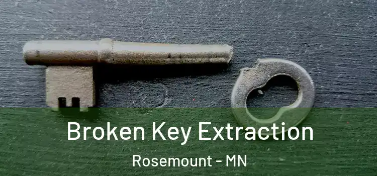  Broken Key Extraction Rosemount - MN