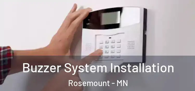  Buzzer System Installation Rosemount - MN
