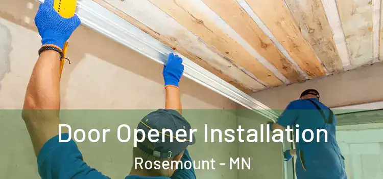  Door Opener Installation Rosemount - MN