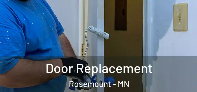  Door Replacement Rosemount - MN