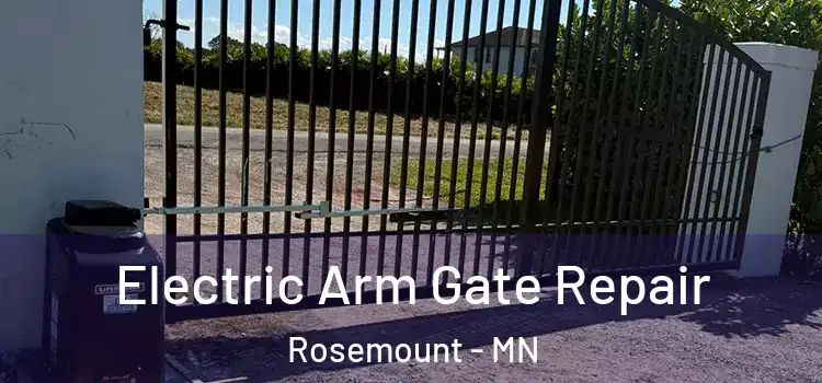  Electric Arm Gate Repair Rosemount - MN