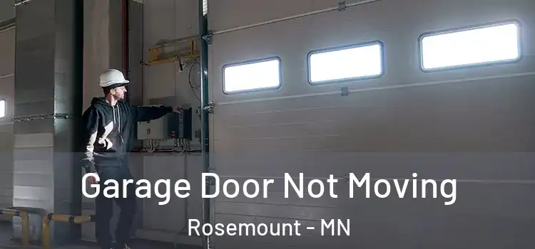  Garage Door Not Moving Rosemount - MN
