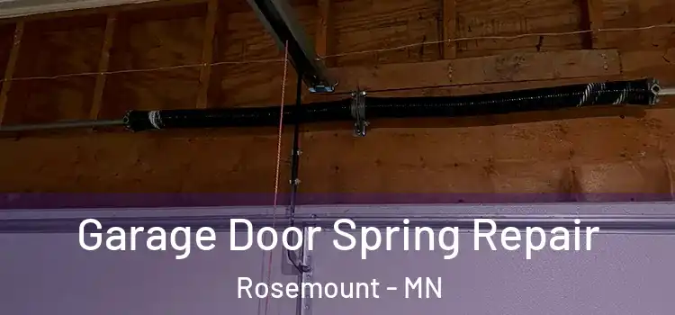  Garage Door Spring Repair Rosemount - MN