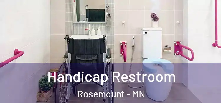  Handicap Restroom Rosemount - MN