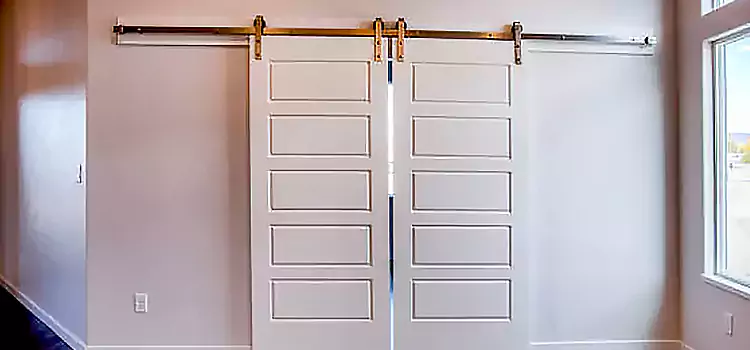 Glass Barn Door with Installation Hardware Kit Rosemount