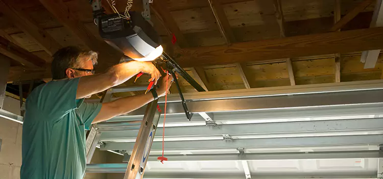 Garage Door Opener Sales and Installation Rosemount