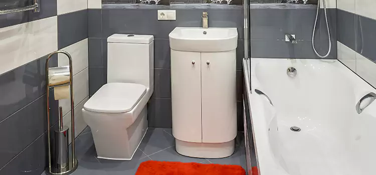 Hansgrohe Shaving Mirror Rosemount