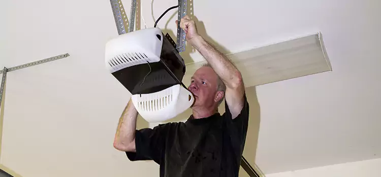 Garage Door Opener Service Rosemount