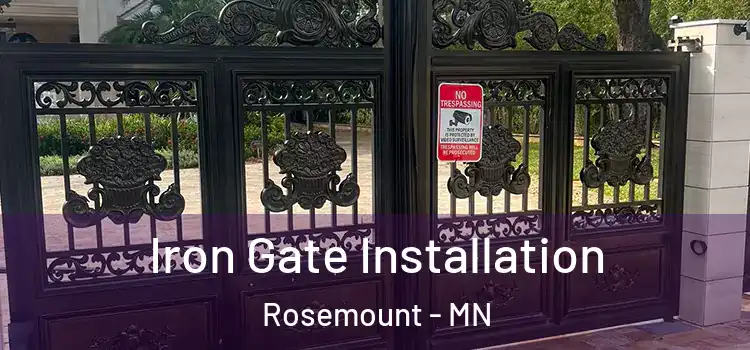 Iron Gate Installation Rosemount - MN
