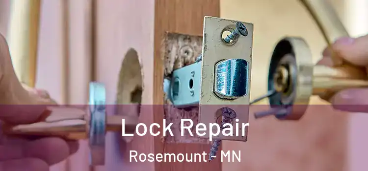 Lock Repair Rosemount - MN