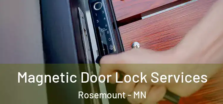  Magnetic Door Lock Services Rosemount - MN
