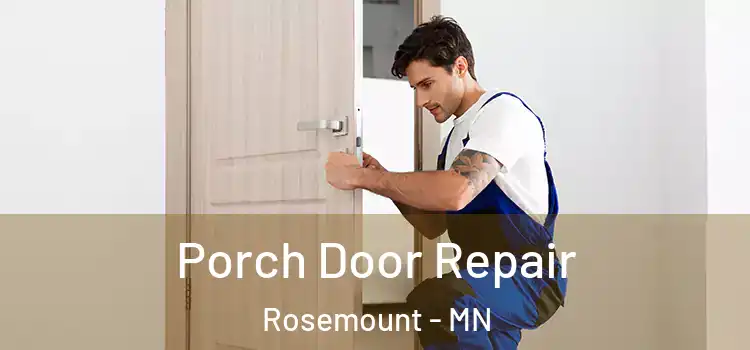  Porch Door Repair Rosemount - MN