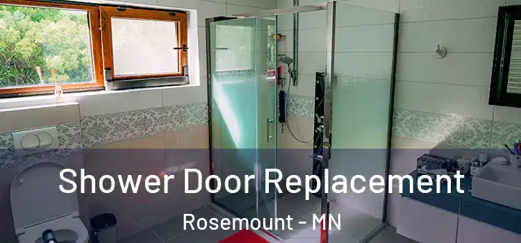  Shower Door Replacement Rosemount - MN