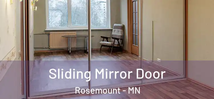  Sliding Mirror Door Rosemount - MN