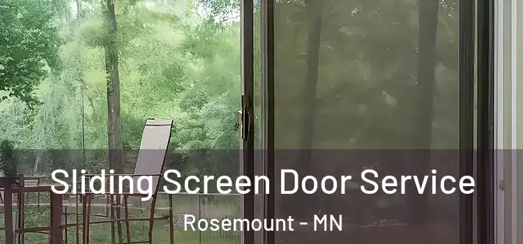  Sliding Screen Door Service Rosemount - MN