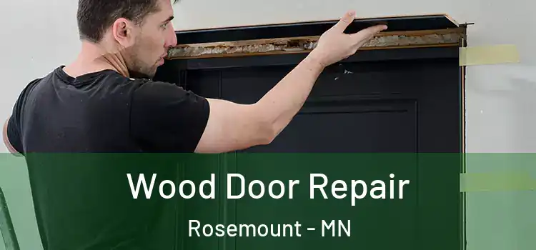  Wood Door Repair Rosemount - MN